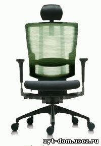 Ортопедическое офисное кресло DuoFlex BR-200C