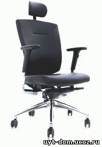 Офисные ортопедические кресла для руководителя DuoFlex Leather DuoFlex BR-100L