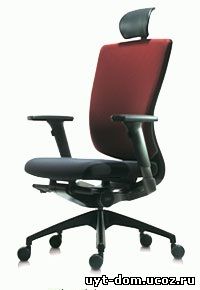Ортопедическое кресло для офиса DuoFlex BR-100S